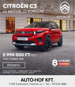 Skandinav Citroen